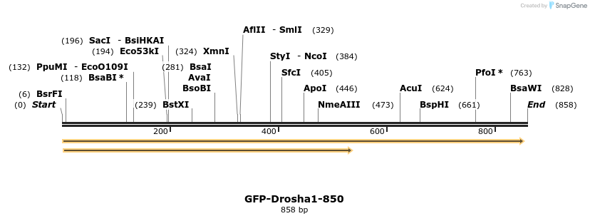 107560_map