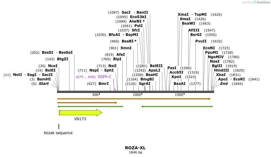 107561_map