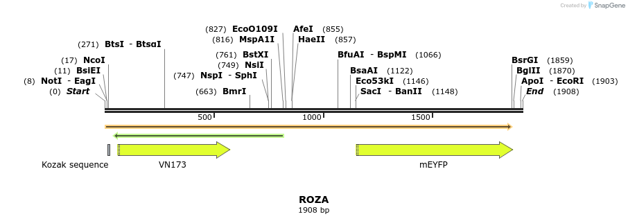 107562_map