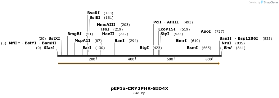 107564_map