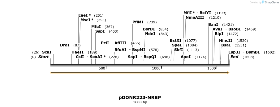 10757_map