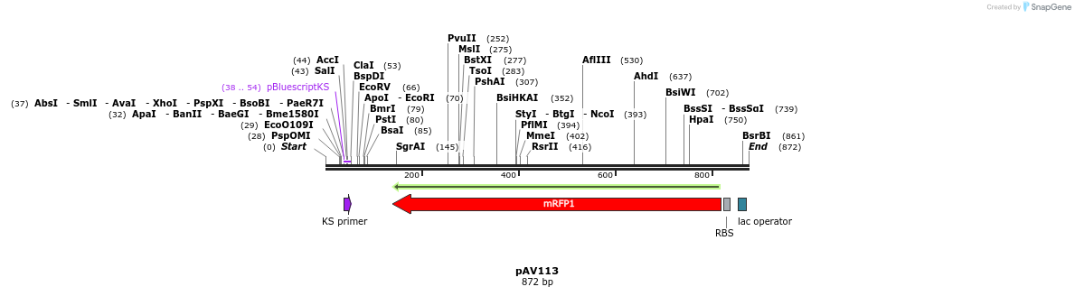 107570_map