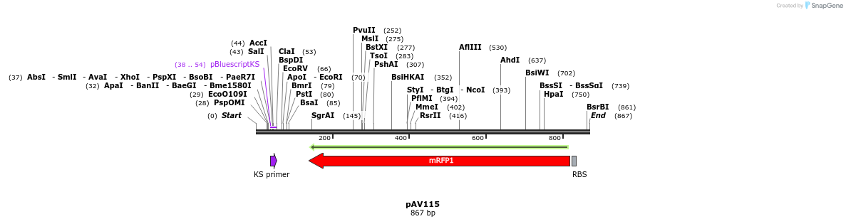 107572_map