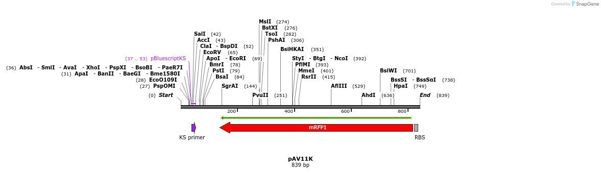 107574_map