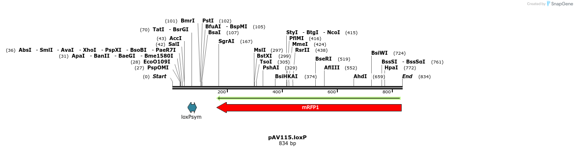 107575_map