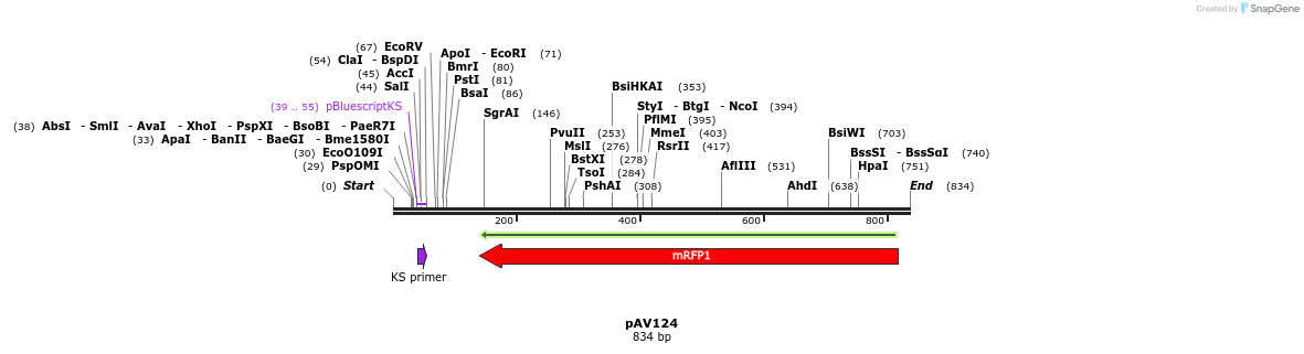 107577_map