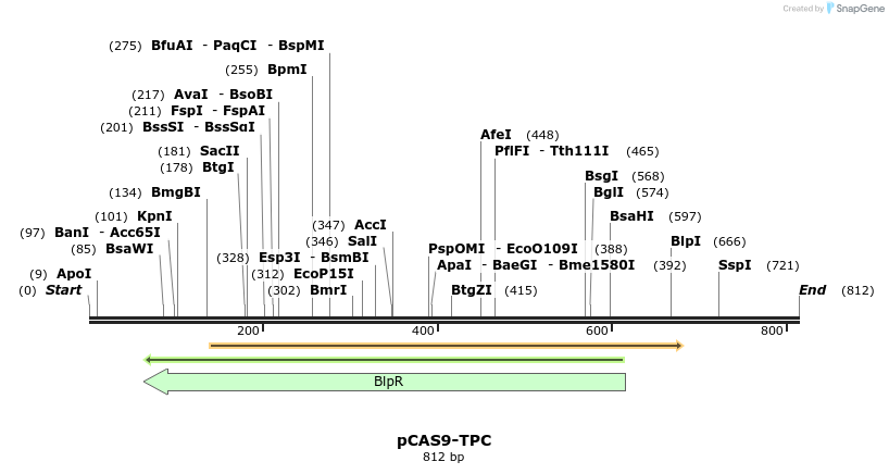 107579_map