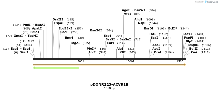 10758_map