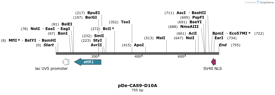 107581_map