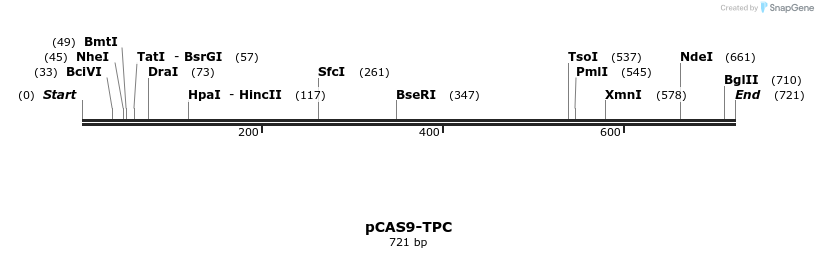 107585_map