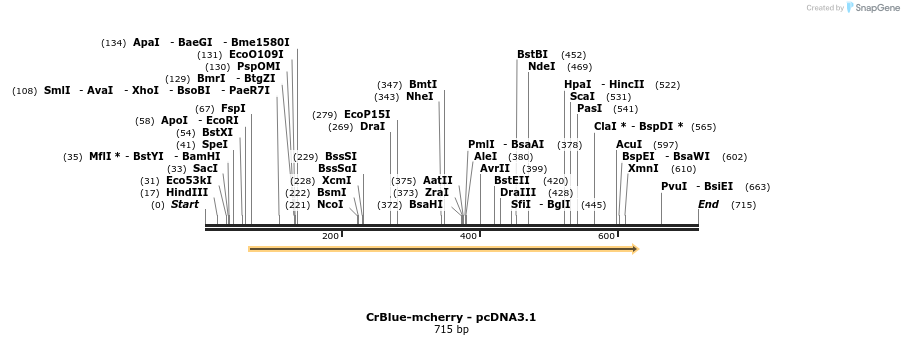 107590_map