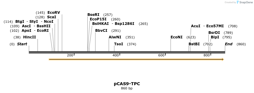 107598_map