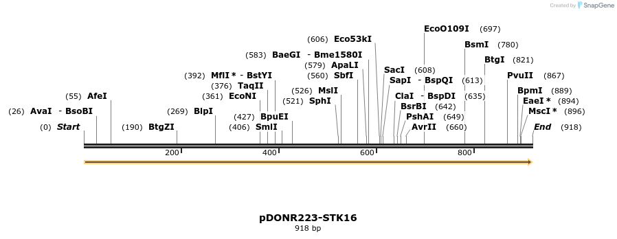 10760_map