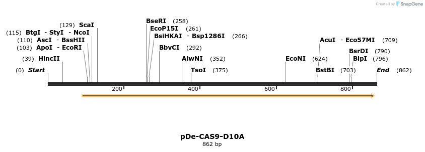 107600_map
