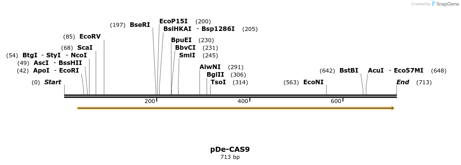 107602_map