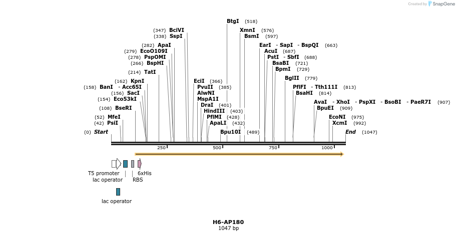 107604_map