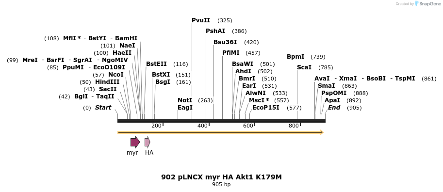 107606_map