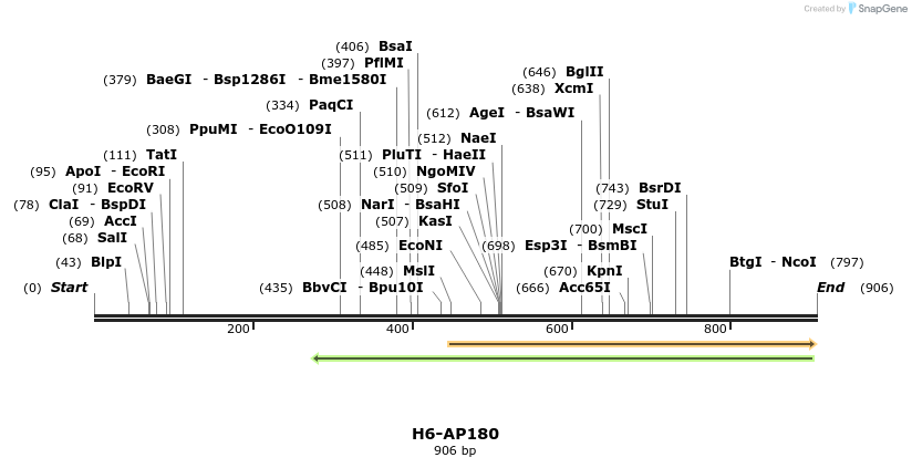 107608_map