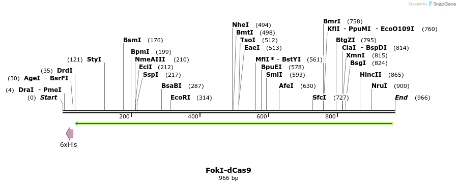 107610_map