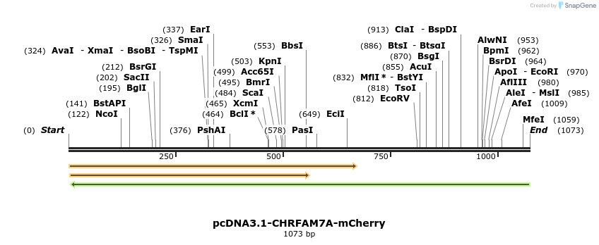 107611_map
