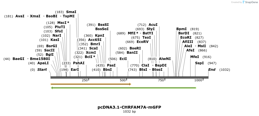 107615_map