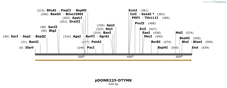 10762_map