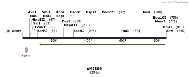 107620_map
