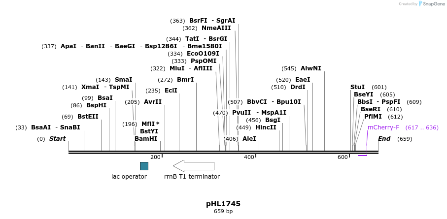 107622_map
