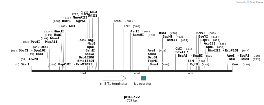 107623_map