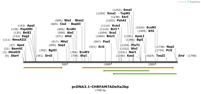 107626_map