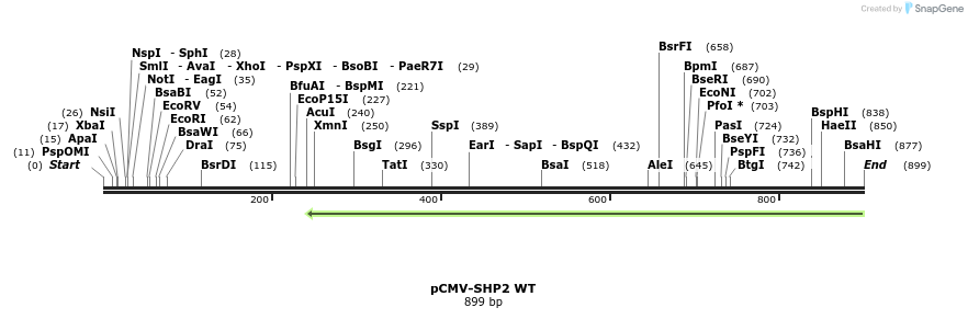 107627_map
