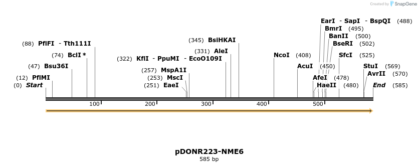 10763_map