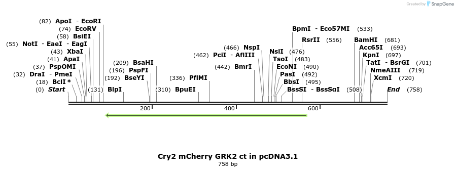 107630_map