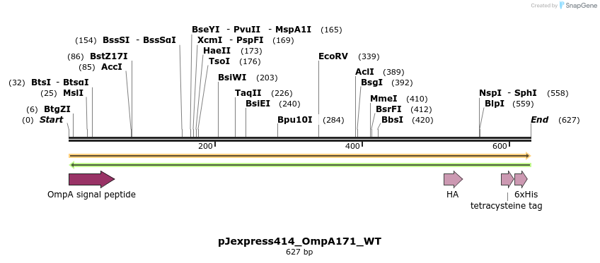 107633_map