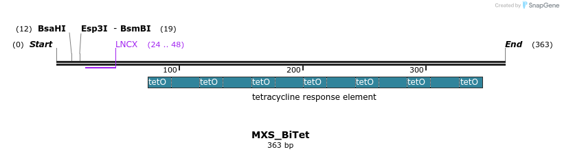 107640_map