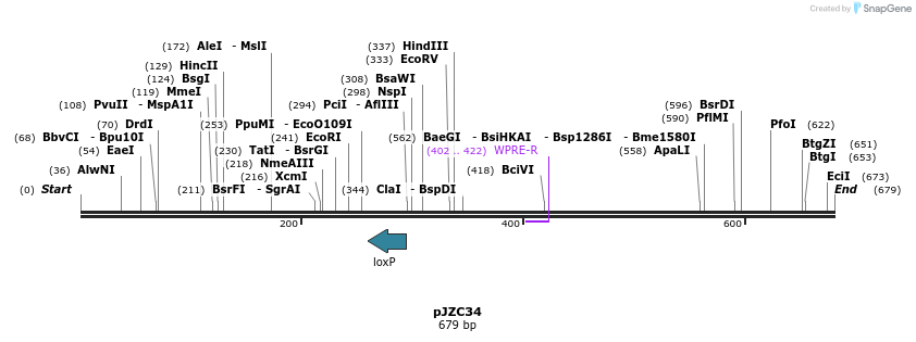107647_map