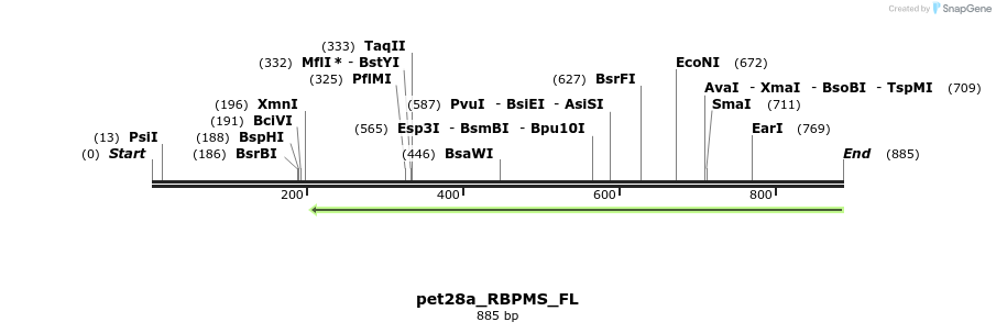 107651_map