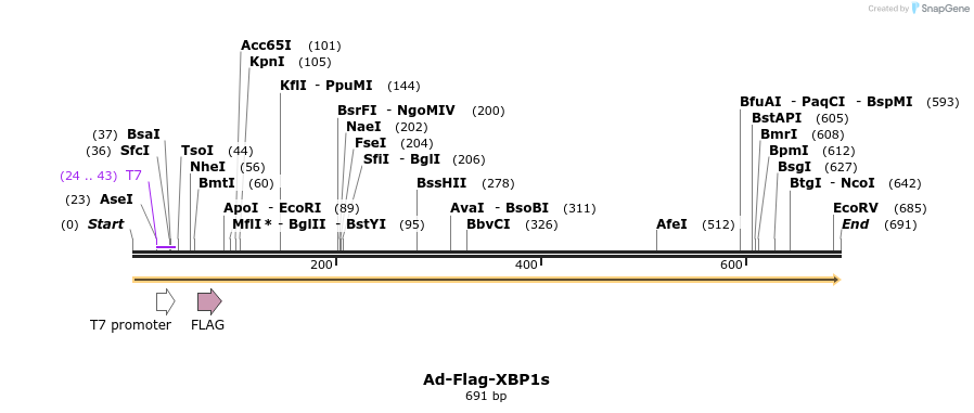 107652_map