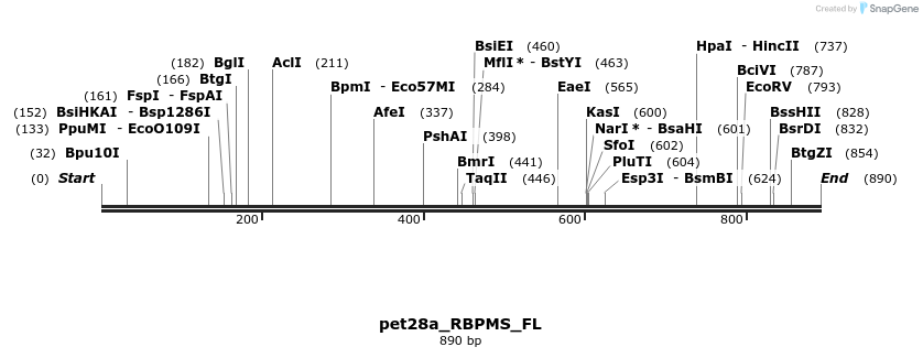 107653_map