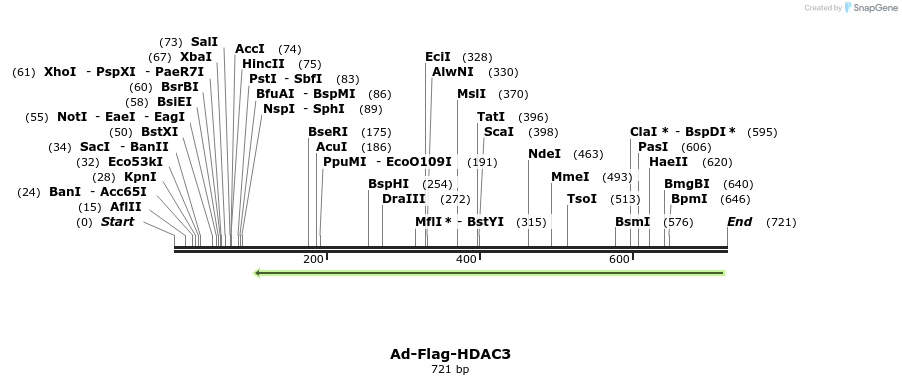 107656_map