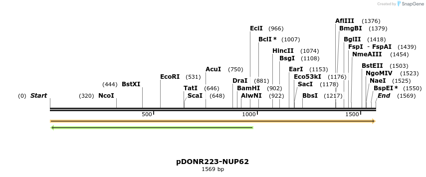 10766_map