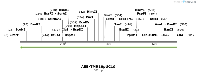 107664_map