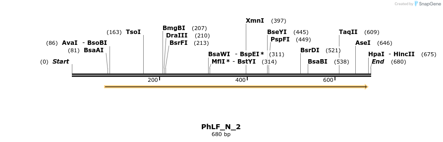 107665_map
