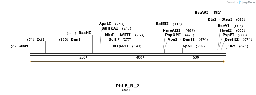 107666_map