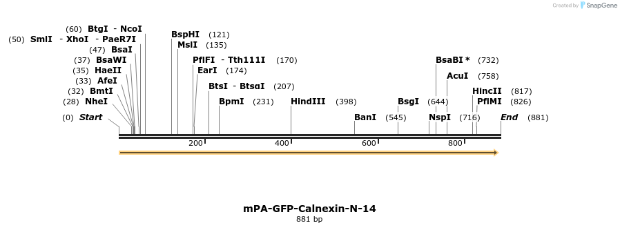 107669_map