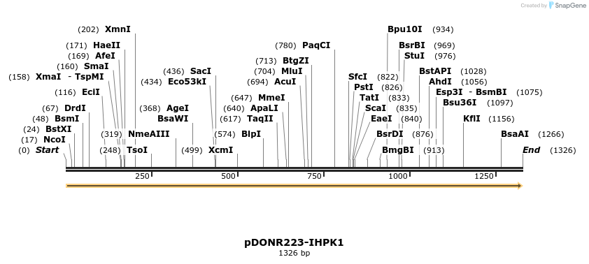 10767_map