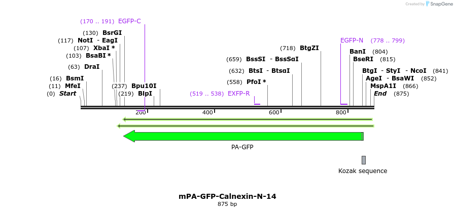 107673_map