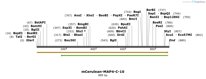 107674_map
