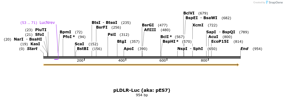 107675_map