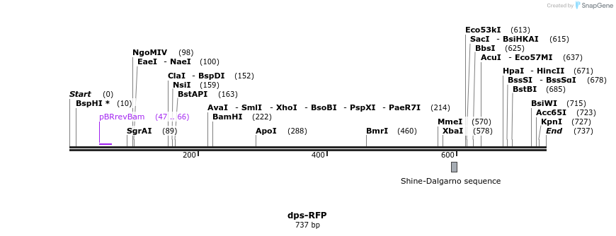 107676_map